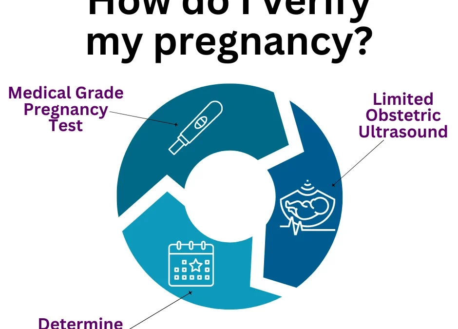 Pregnancy Information For Men